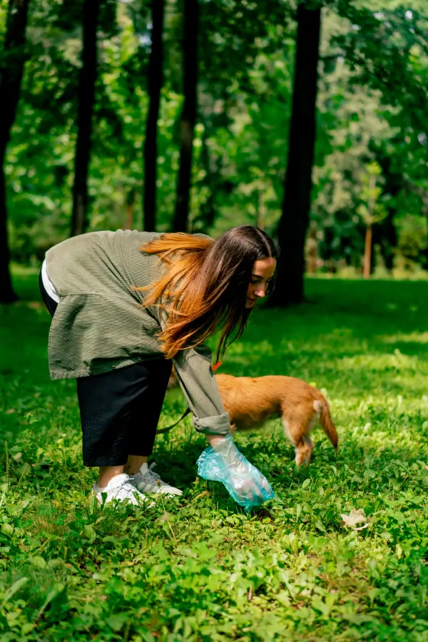 Dog owner picking up dog poop in city park