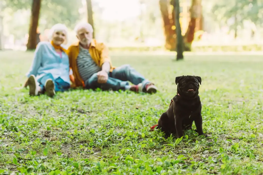 Dog owners enjoying a clean park with their dog
