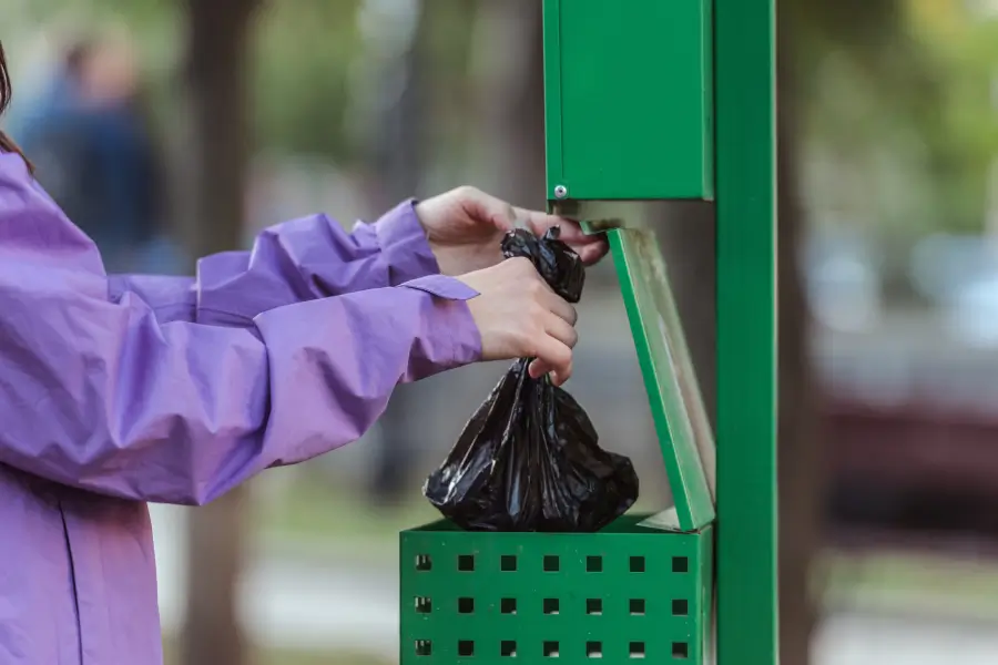 Dog waste bag being placed in dog waste station