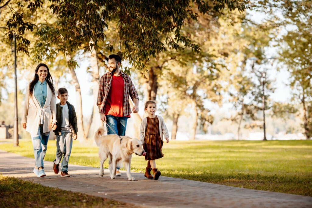 Family with two children walking down the road in autumn park with a dog